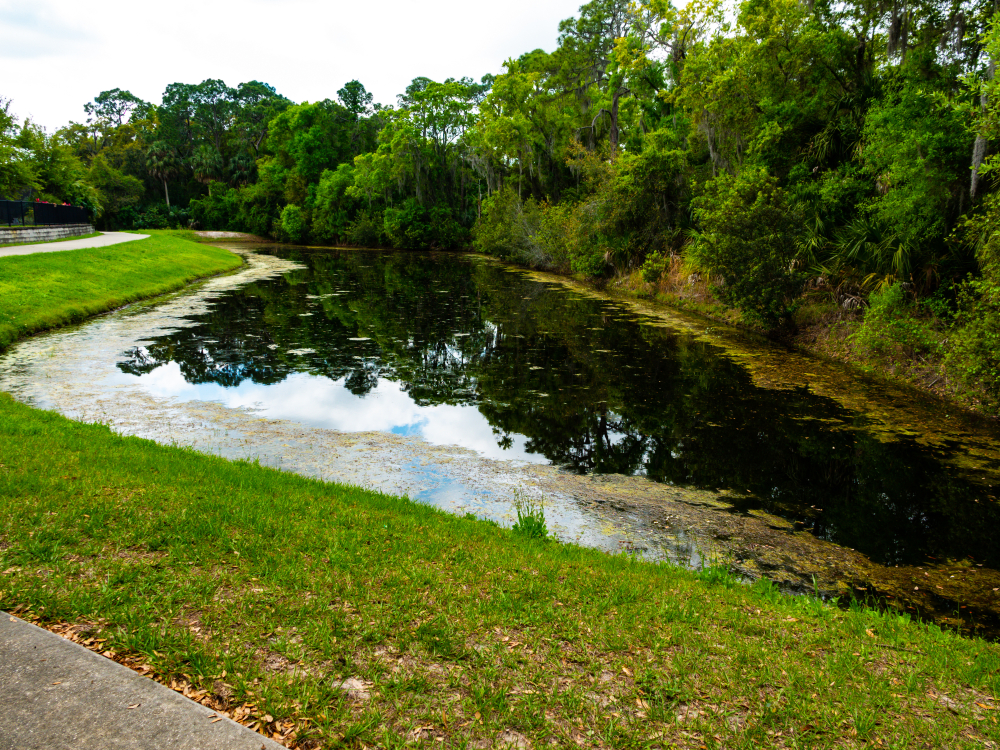 Wet,retention,pond