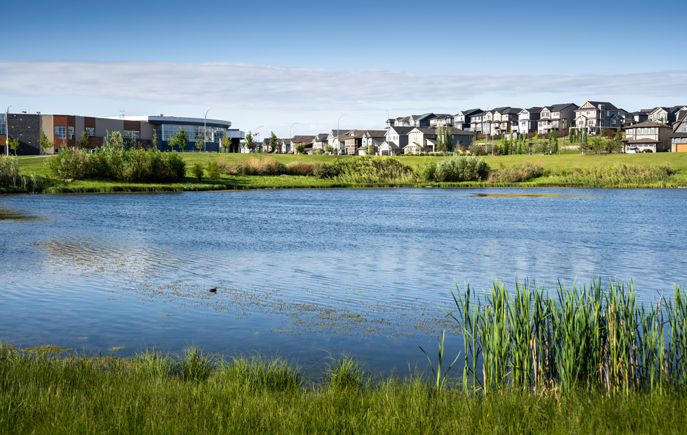 A,storm,retention,pond,creates,natural,habitat,in,a,new